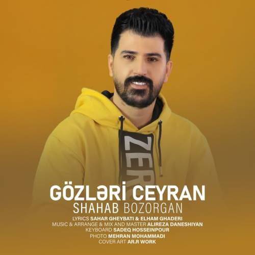 شهاب بزرگان گوزلری جیران